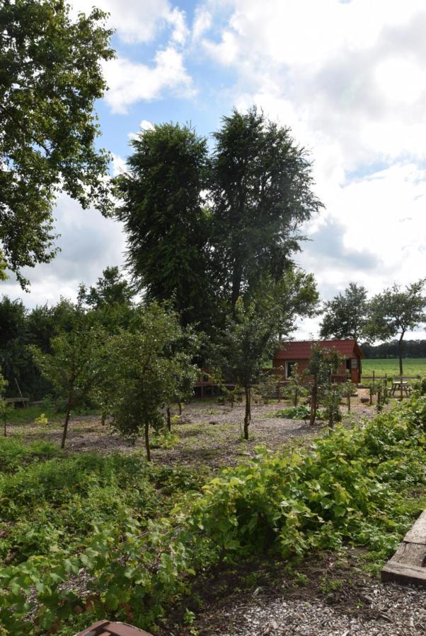 Hoeve Delshorst Heibloem Dış mekan fotoğraf