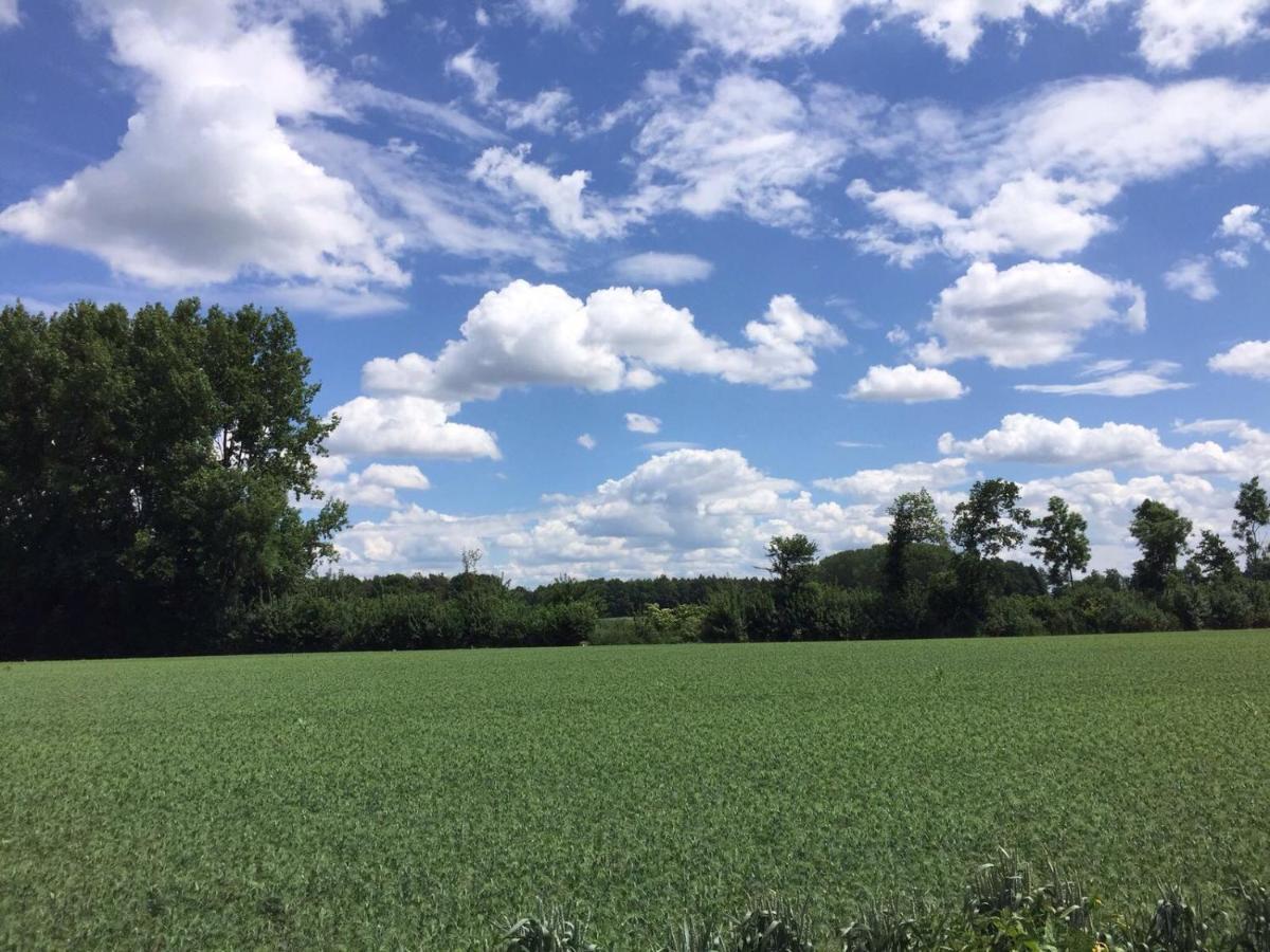 Hoeve Delshorst Heibloem Dış mekan fotoğraf