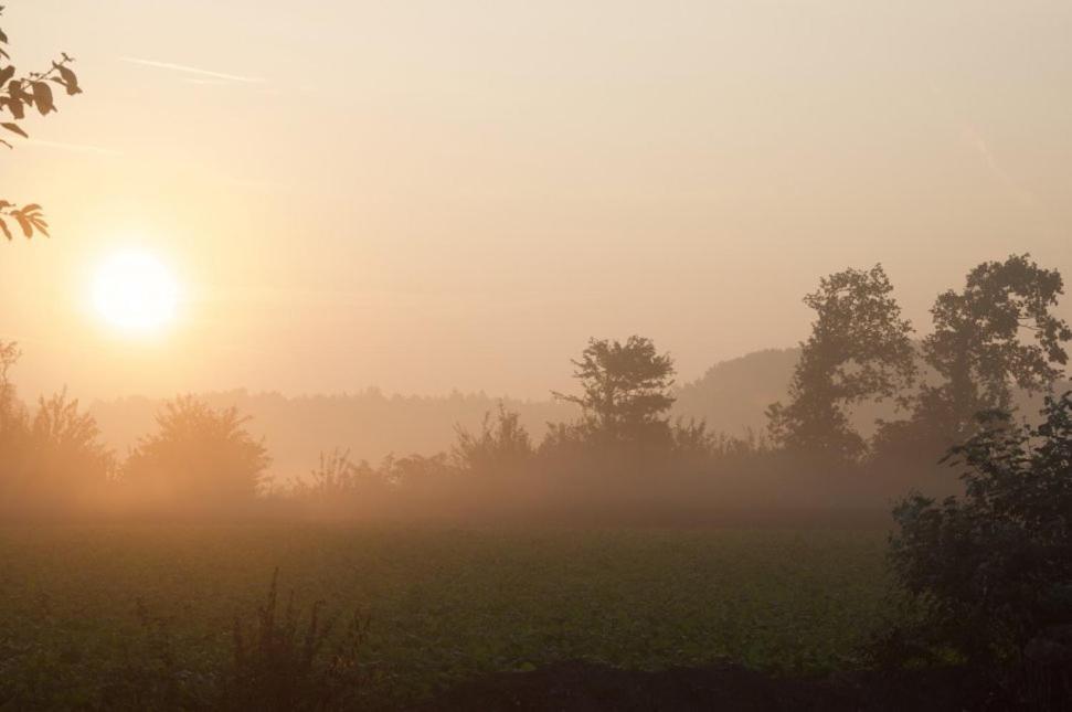 Hoeve Delshorst Heibloem Dış mekan fotoğraf