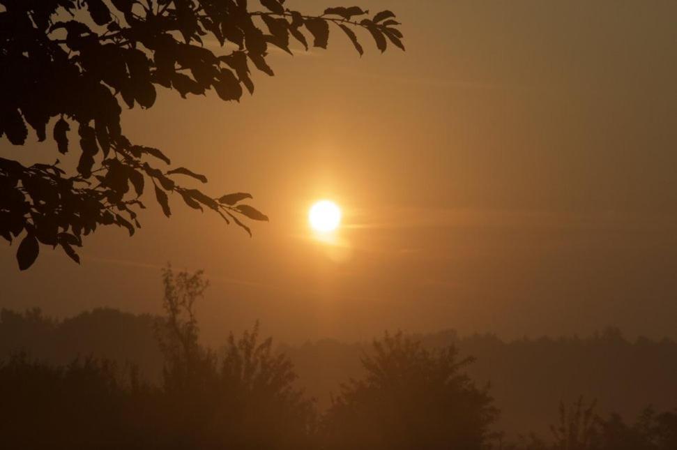 Hoeve Delshorst Heibloem Dış mekan fotoğraf